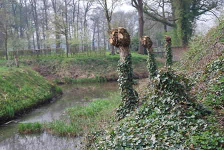 Schuilenburg. Vroeger stond hier een havezathe. Op het terrein is de ruïne van het oude kasteel nog te zien binnen de slotgracht. Verder is hier te zien hoe de Regge deels weer een natuurlijker aanzien krijgt.